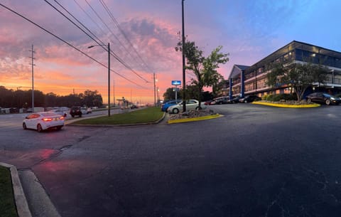 Day, Neighbourhood, Street view, Sunset