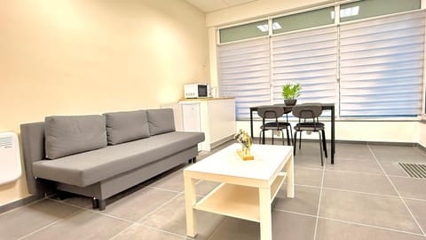 Orléan 41 A centre-gare-aéroport Apartment in Charleroi