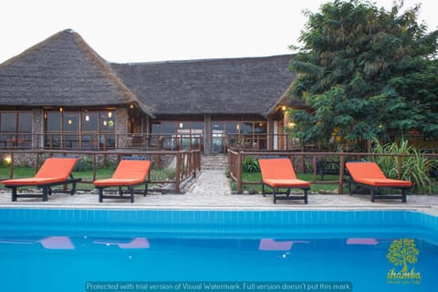 Pool view, Swimming pool