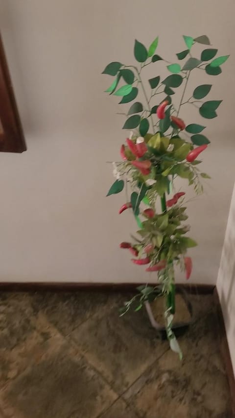 Cantinho do Aconchego Bed and Breakfast in São Pedro da Aldeia