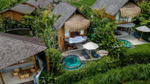 Bird's eye view, Swimming pool