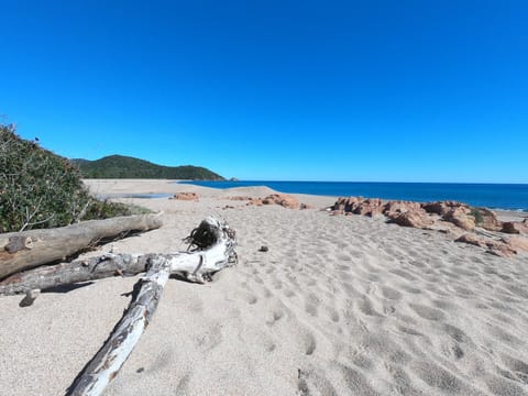 Nearby landmark, Beach