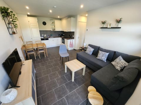 Kitchen or kitchenette, Living room, Seating area, Dining area, stove