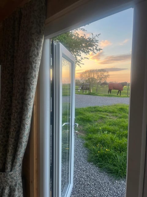 Peaceful eco glamping cabin Cabin in England
