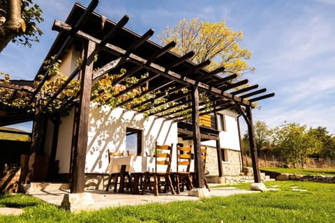 Patio, Garden, Garden view