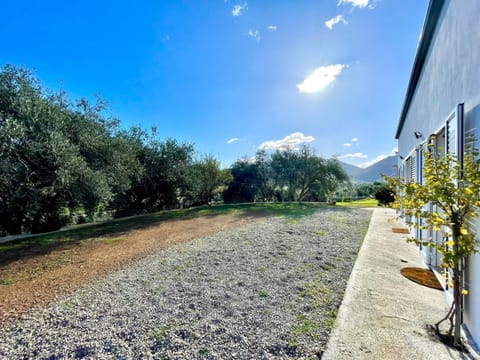 Property building, Natural landscape
