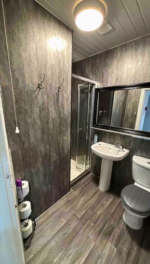 Shower, Bathroom, bidet