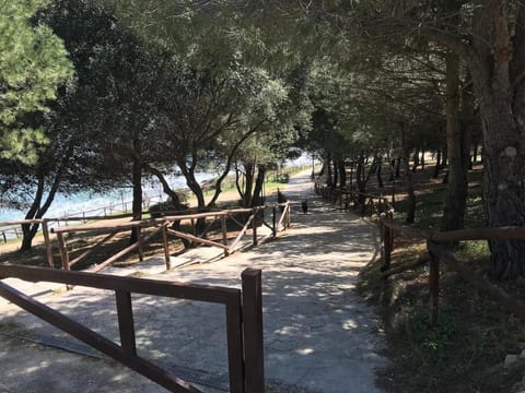 Residence CasaNova Apartment in Province of Foggia