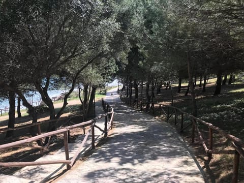 Residence CasaNova Apartment in Province of Foggia