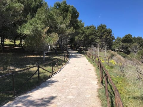 Residence CasaNova Apartment in Province of Foggia