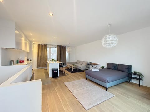 Penthouse Cinquantenaire Apartment in Ixelles