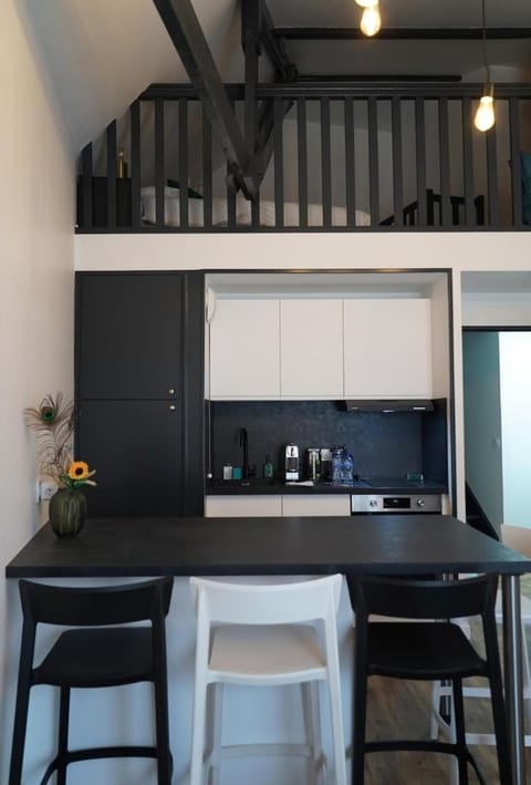 Topaze Duplex Apartment in Chartres