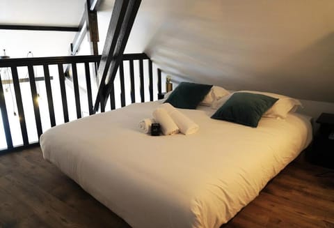 Topaze Duplex Apartment in Chartres