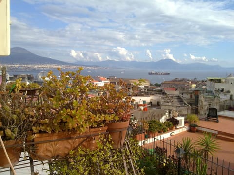 Nearby landmark, City view, City view, Landmark view, Mountain view, Sea view