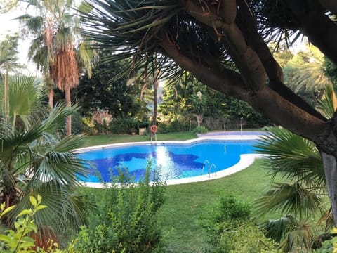 Garden, Garden, Garden view, Pool view, Swimming pool, Swimming pool