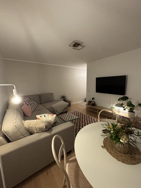 Viihtyisä kaksio Apartment in Rovaniemi