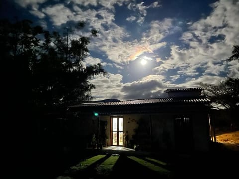 Night
