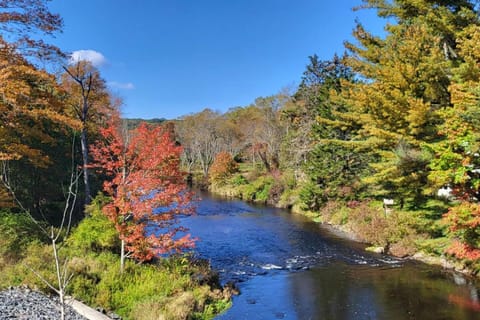 Natural landscape, River view