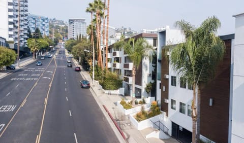 Holloway Residence Apartment in West Hollywood