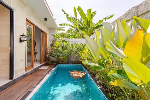 Day, Pool view, Swimming pool