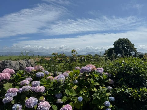 Gwyllt Cottages House in Rhosyr