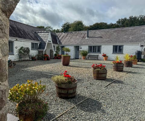 Gwyllt Cottages House in Rhosyr