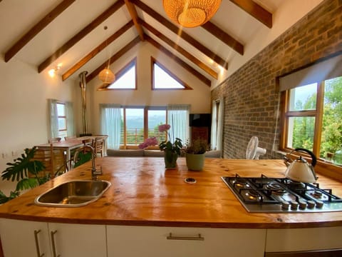 Kitchen or kitchenette, Dining area, stove