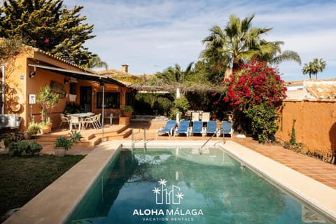 Garden, Swimming pool
