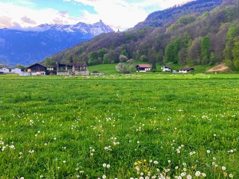 Mountain View Apartment in Haute-Savoie