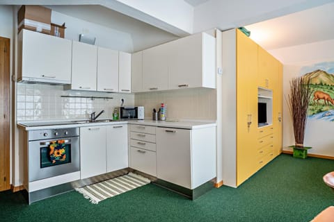 Kitchen or kitchenette, oven, stove