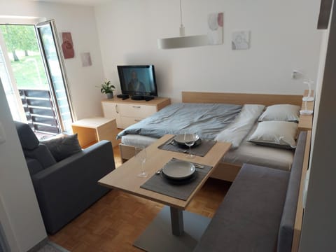 Bed, TV and multimedia, Living room, Photo of the whole room, Seating area, Dining area
