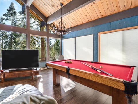 Awesome Home Above the Lake - Dogs Welcome VH315 House in Bear Valley