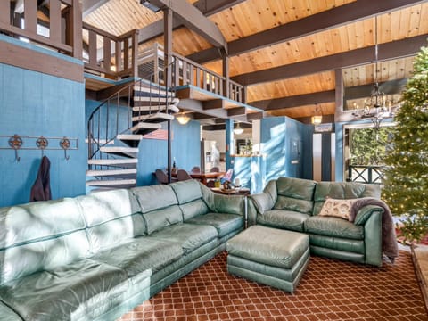 Awesome Home Above the Lake - Dogs Welcome VH315 House in Bear Valley