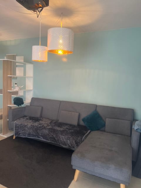 Cosy appartement Apartment in Villeurbanne