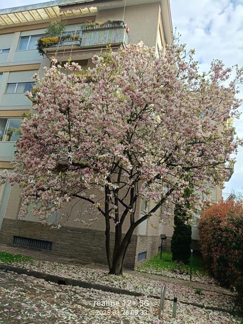 Garden Flat Apartment in Milan