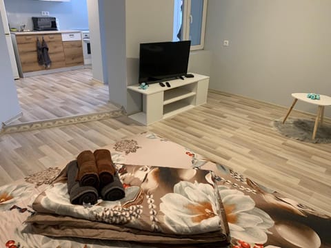 Southern Hill Apartment in Sofia