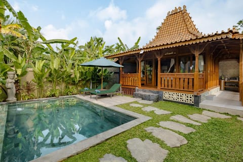 Property building, Patio, Day, Garden, Garden view, Pool view, Swimming pool, sunbed