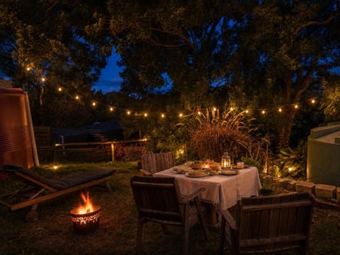 Night, Garden, Garden view