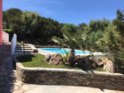 Swimming pool, Swimming pool