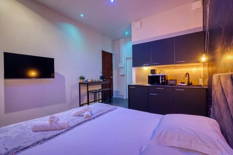 Bed, TV and multimedia, Kitchen or kitchenette, Photo of the whole room, Bedroom, minibar, oven, towels