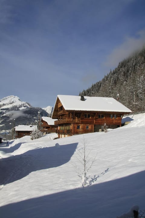 Bois Neige Apartment in Châtel