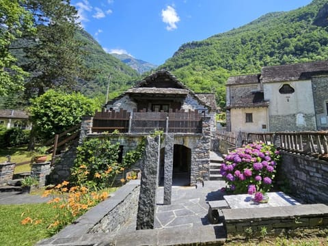 Property view
