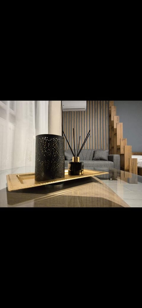 Apartament Raul Apartment in Timisoara