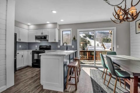 Modern Townhome with Decks Fireplace & Mountain Views House in Ellicottville