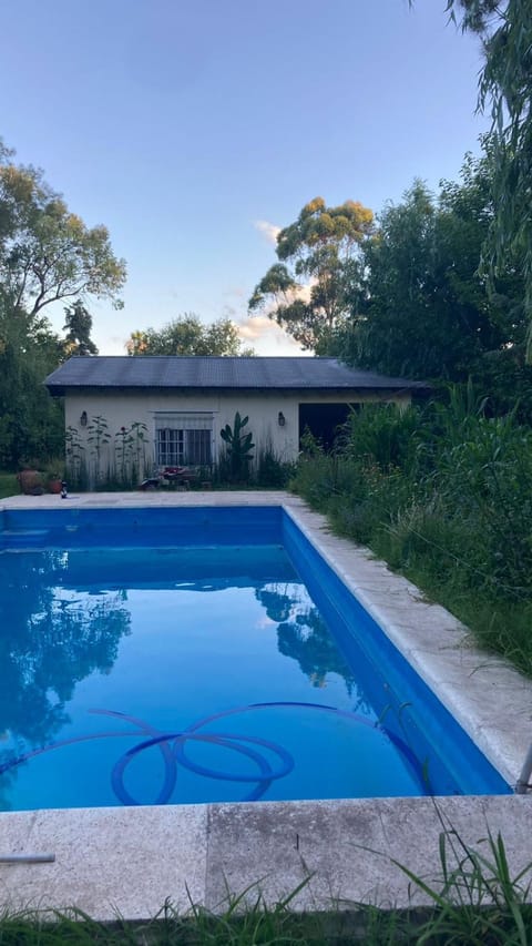 Property building, Day, Pool view, Swimming pool