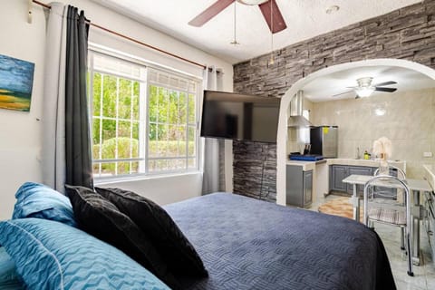 Bed, TV and multimedia