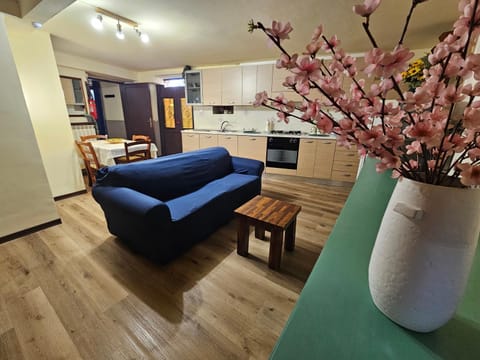 Kitchen or kitchenette, Living room, Seating area, Dining area, oven, stove