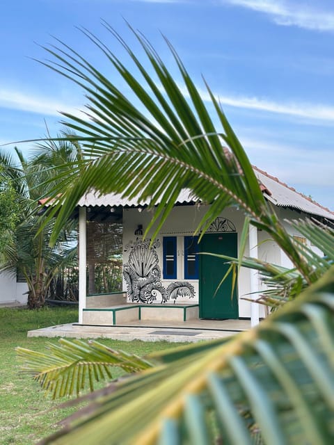 Property building, Day, Garden