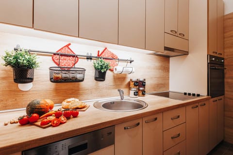 Kitchen or kitchenette, oven, stove