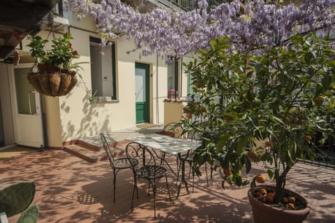 Spring, Day, Balcony/Terrace